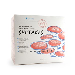 Kit de culture champignons Shiitake